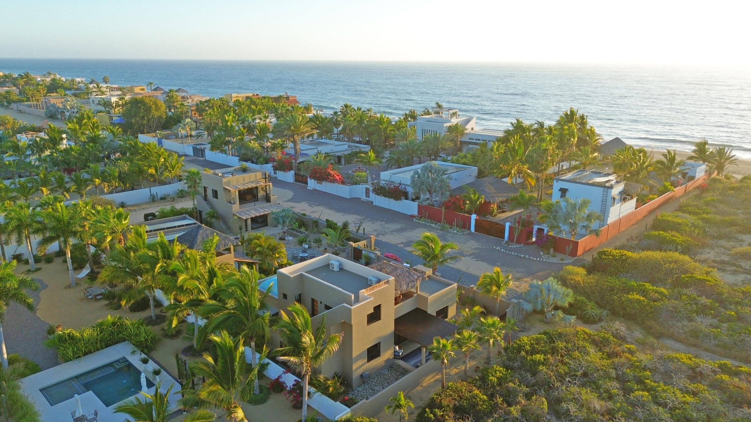 ALMA GITANA, Pacific, Pacific, BS