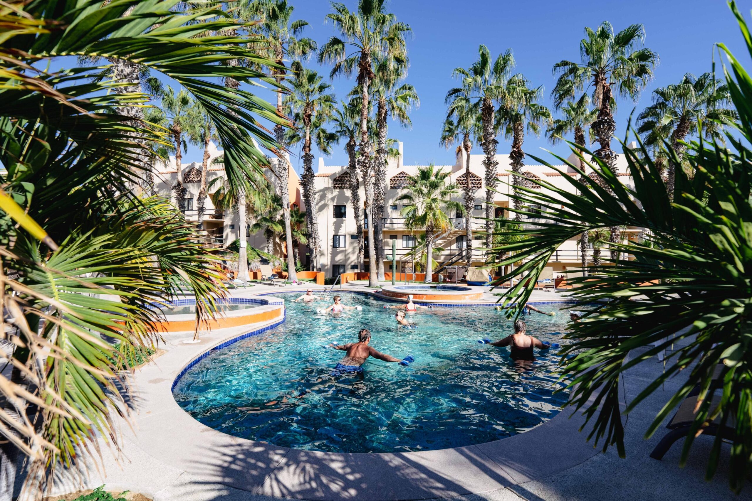 Los Cabos Desert Moon Ocean- for sale