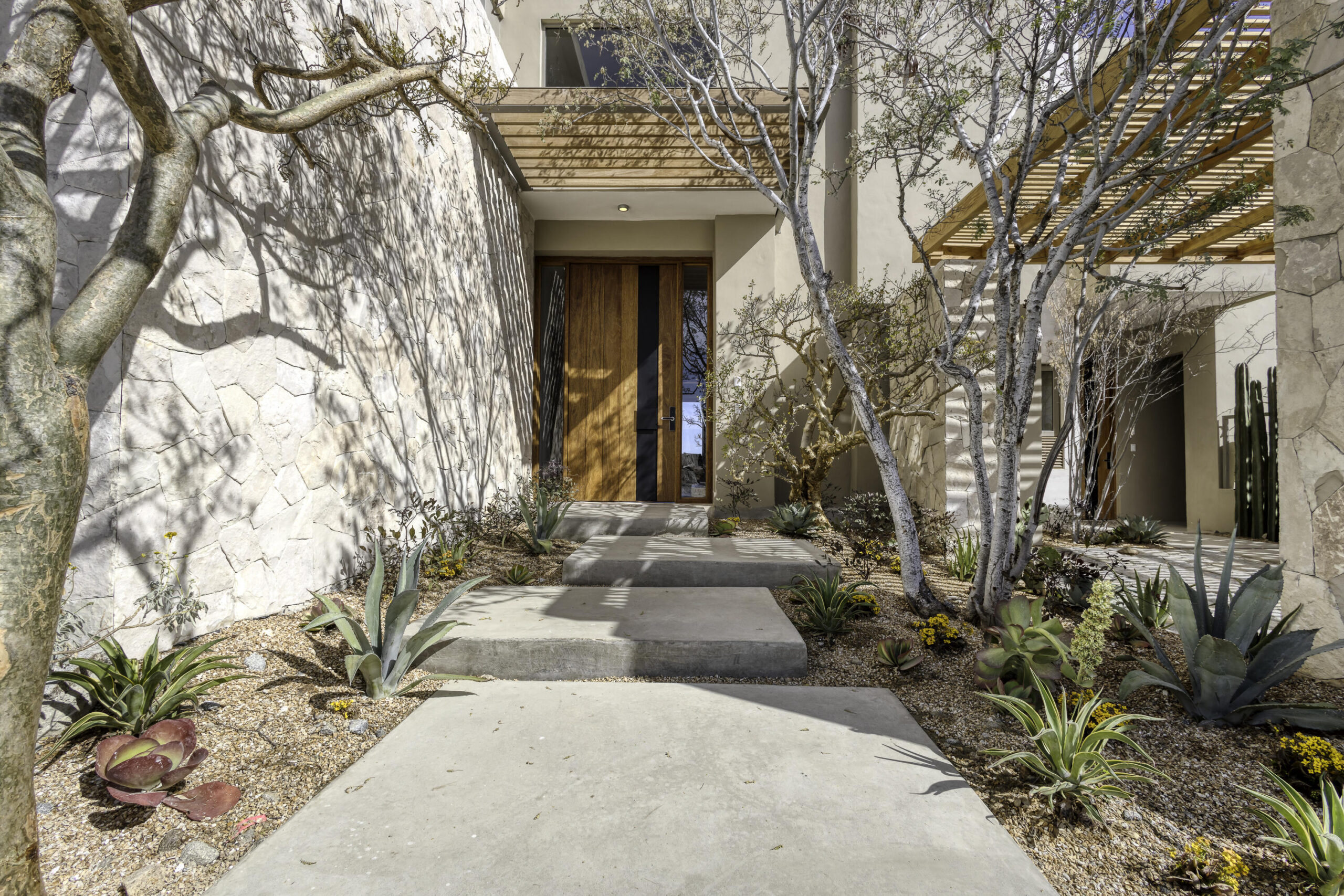 Los Cabos Pedregal CSL – Camino del Cerro Lot 21, Cabo San Lucas, BS